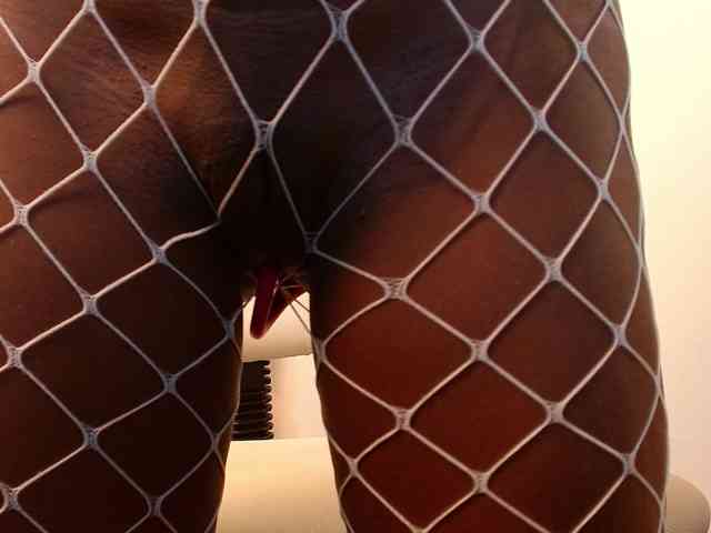siara-will webcam