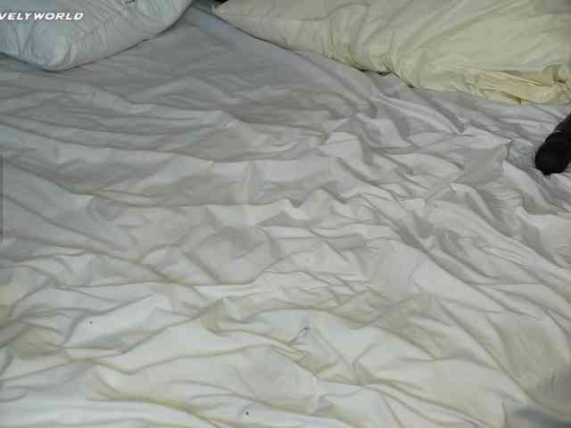 EmmylieMorris EmmylieMorris