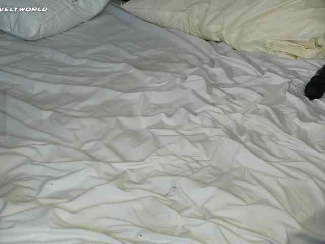 EmmylieMorris EmmylieMorris