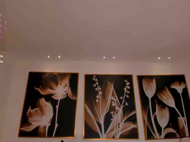 PaulinaSantos1 webcam