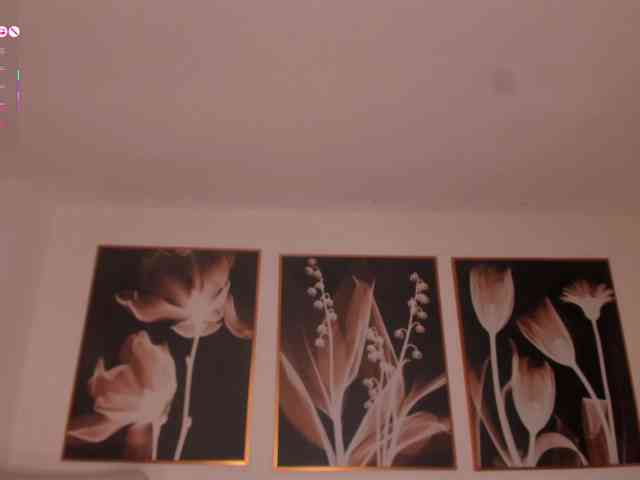 PaulinaSantos1 webcam