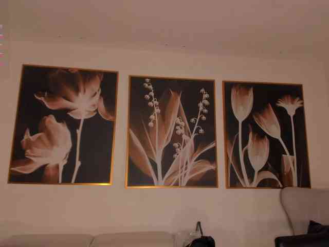 PaulinaSantos1 webcam