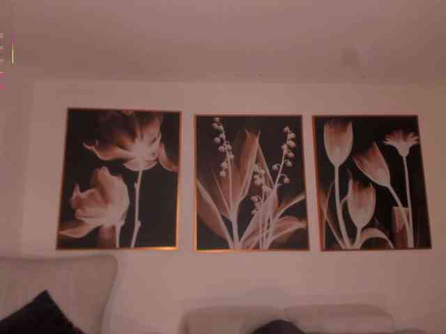 PaulinaSantos1 webcam