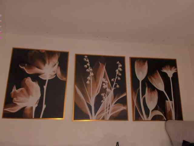 PaulinaSantos1 PaulinaSantos1