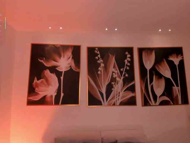 PaulinaSantos1 webcam