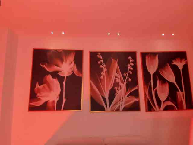 PaulinaSantos1 webcam