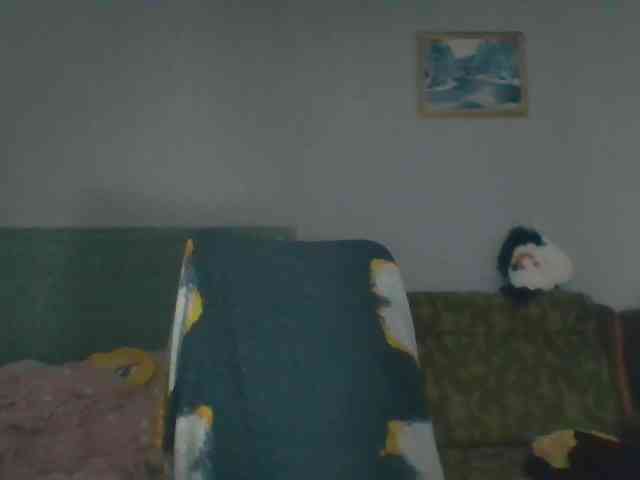 CassieStefana webcam