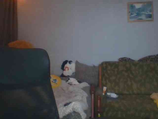 CassieStefana CassieStefana