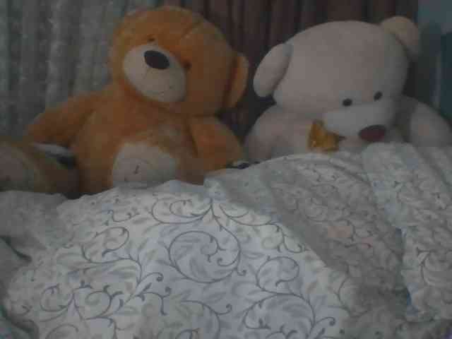 CassieStefana webcam