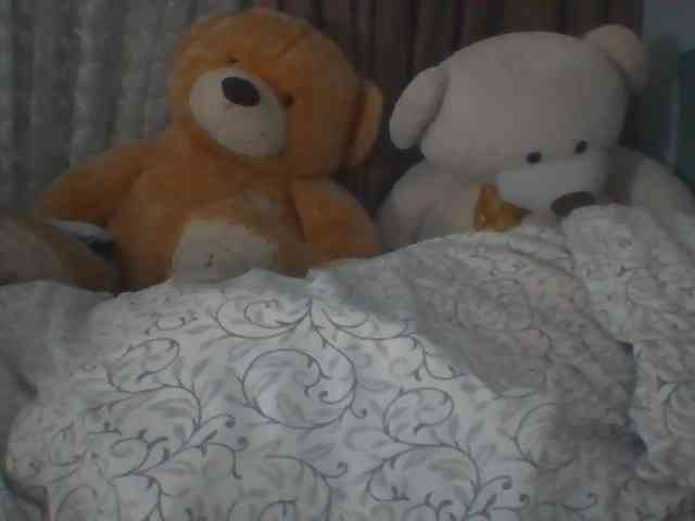 CassieStefana webcam