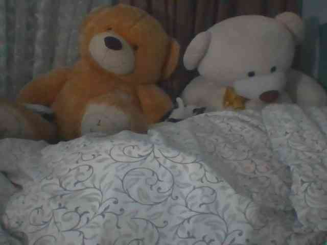 CassieStefana webcam