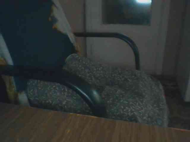 CassieStefana webcam