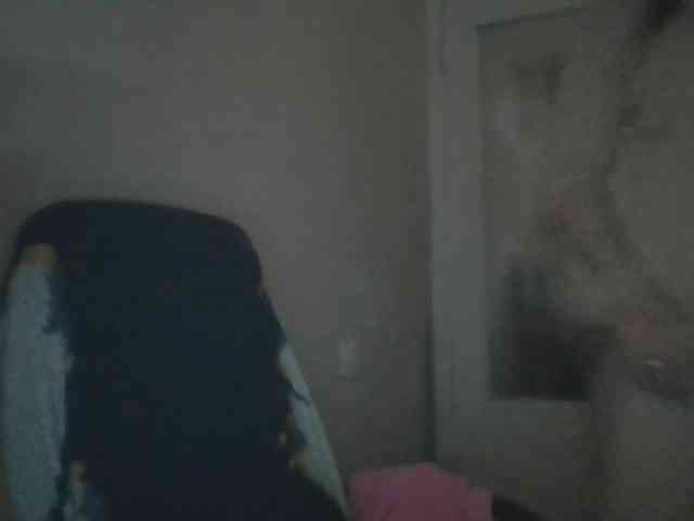 CassieStefana CassieStefana