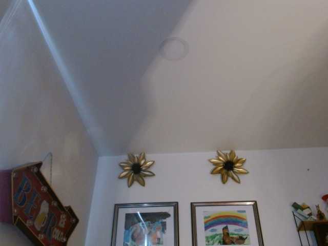 Preview of margaritadudole