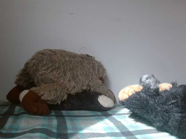 Ratienterciopelo's BongaCams show and profile