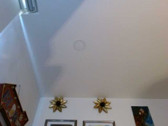 Preview of margaritadudole