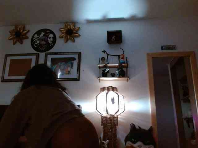 Ratienterciopelo Live Webcam on BongaCams