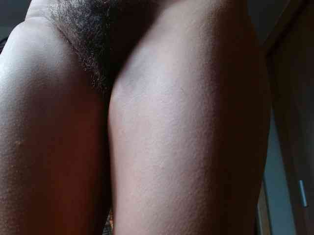 Ratienterciopelo Ratienterciopelo