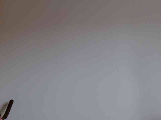 Margaritadudole webcam