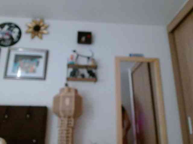 Margaritadudole webcam