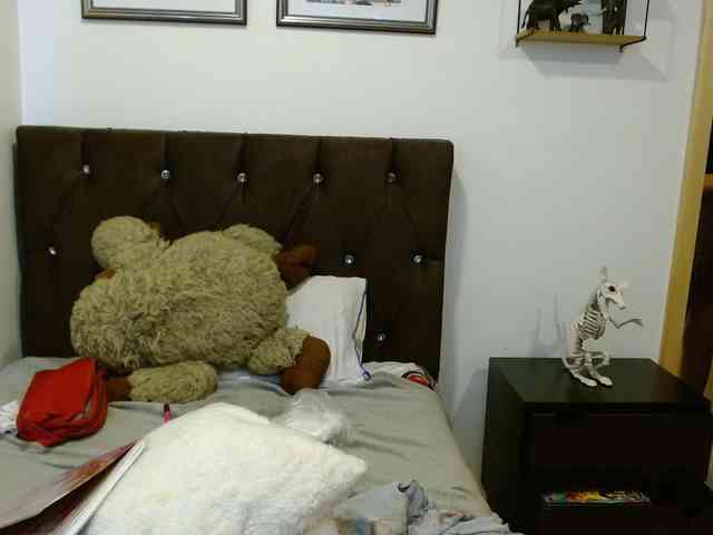 Ratienterciopelo Ratienterciopelo