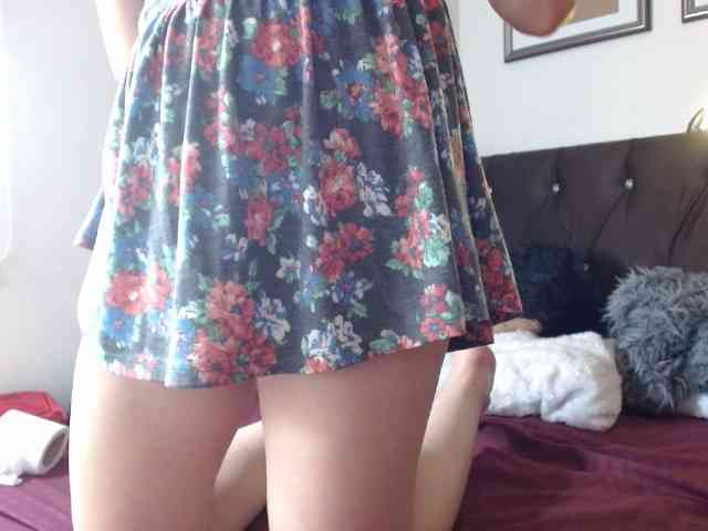 Ratienterciopelo Ratienterciopelo