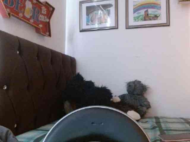 Ratienterciopelo Live Webcam on BongaCams