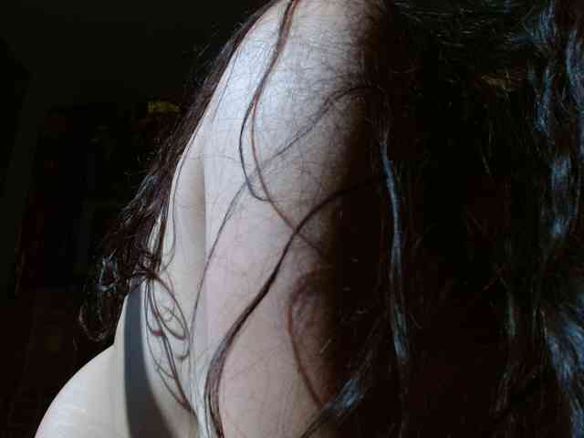 Ratienterciopelo Ratienterciopelo