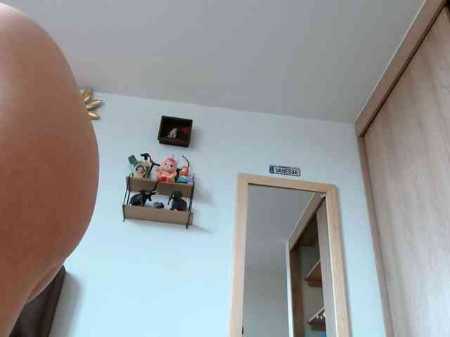 Ratienterciopelo Ratienterciopelo