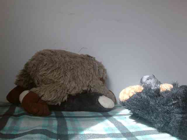 Margaritadudole webcam