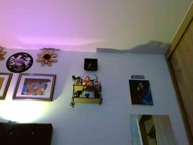 Margaritadudole webcam