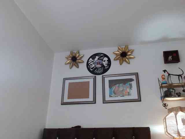 Margaritadudole webcam