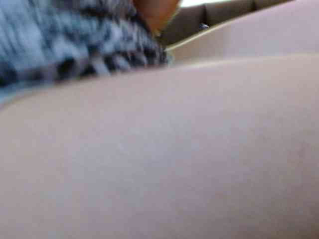 Ratienterciopelo Ratienterciopelo