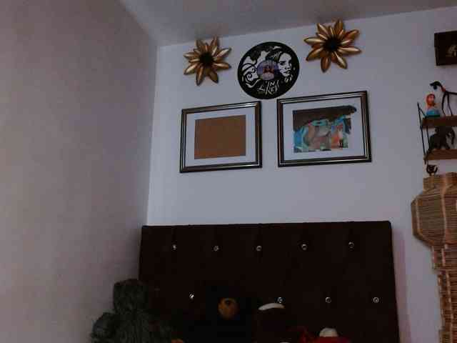 Ratienterciopelo Ratienterciopelo