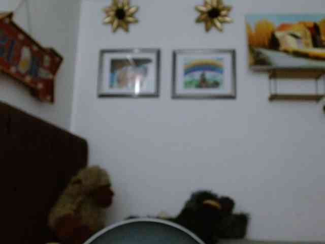 Margaritadudole webcam