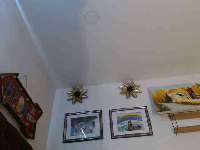 Margaritadudole webcam