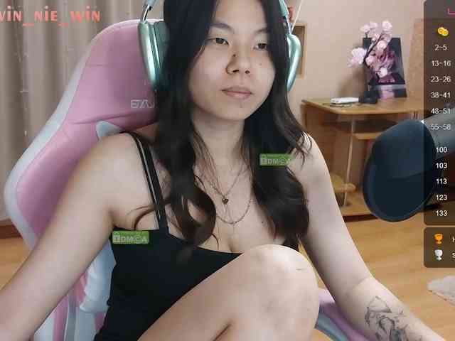 WIN_NIE webcam