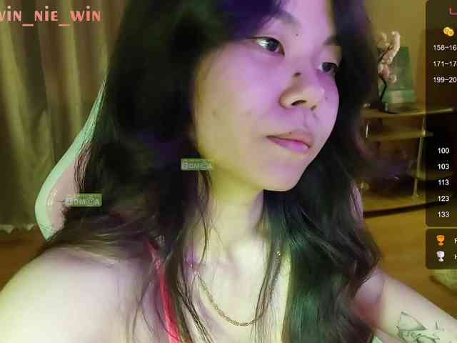 WIN_NIE webcam