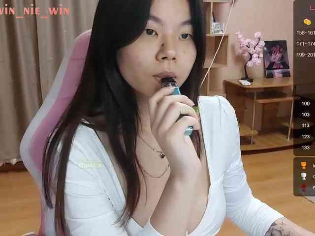 WIN_NIE webcam