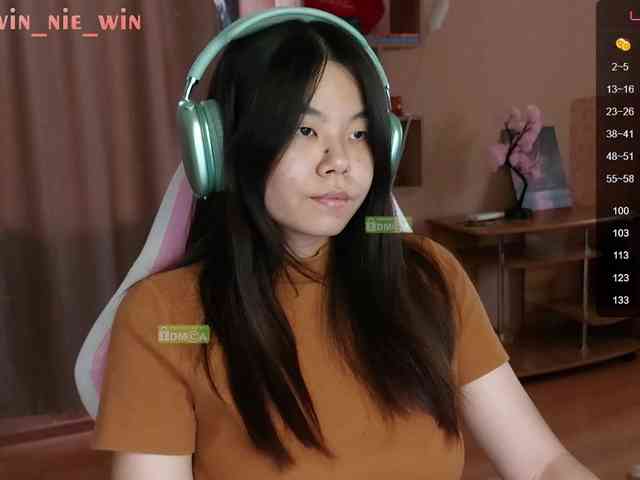WIN_NIE webcam