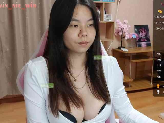 WIN_NIE webcam