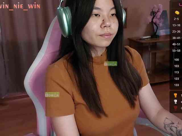 WIN_NIE webcam