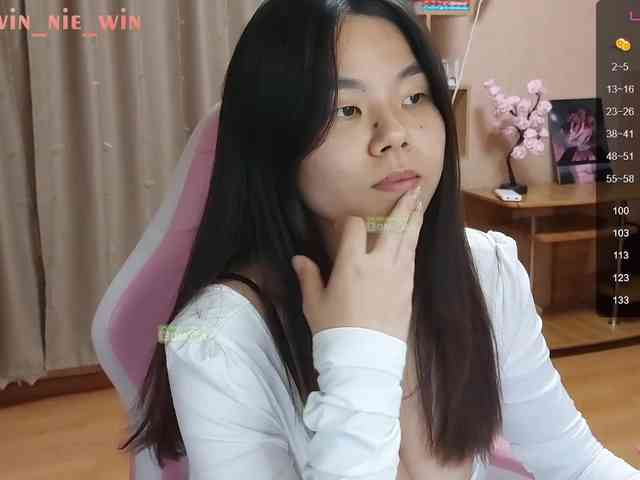 WIN_NIE webcam