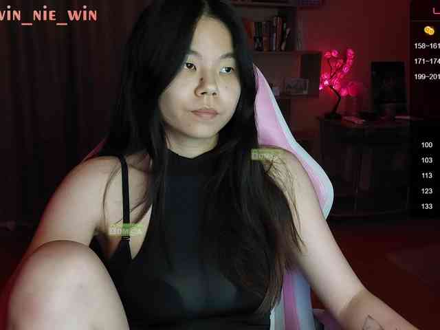 WIN_NIE webcam