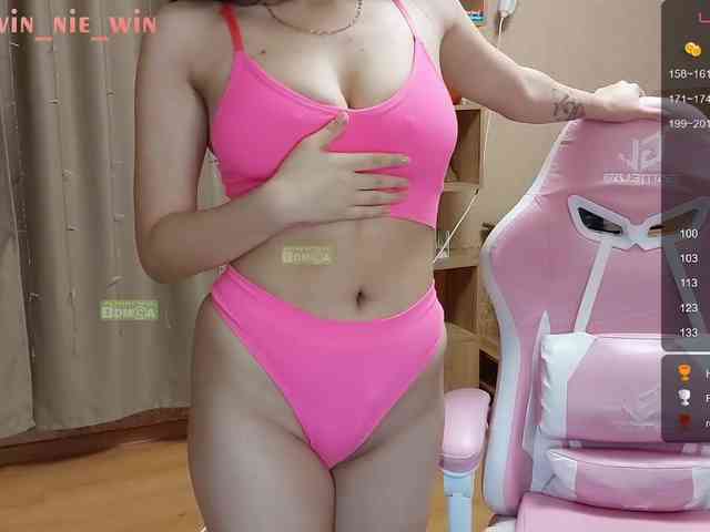 WIN_NIE webcam
