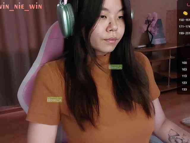 WIN_NIE webcam