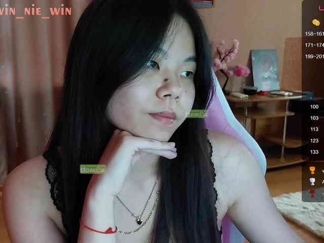 WIN_NIE webcam