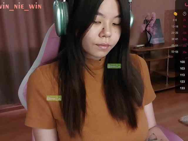WIN_NIE webcam