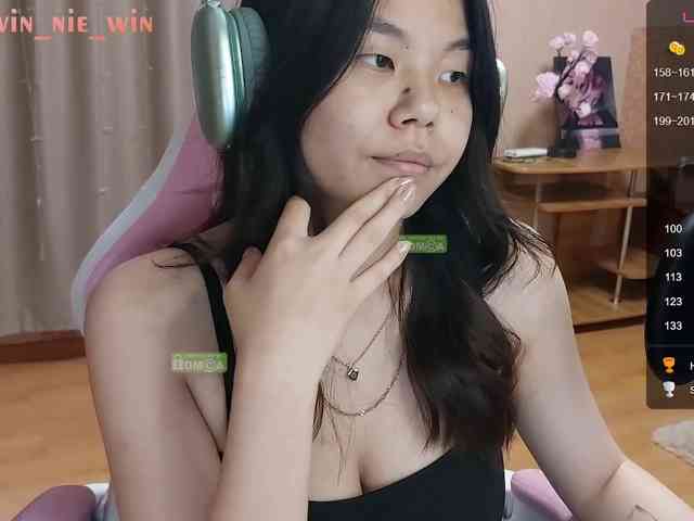 WIN_NIE webcam
