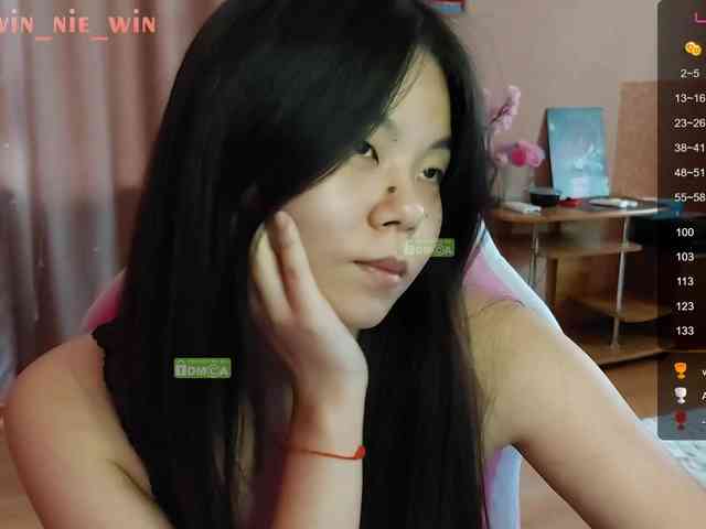WIN_NIE webcam